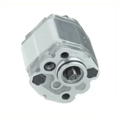 CW 4.3cc Mini P-Pack Gear Pump