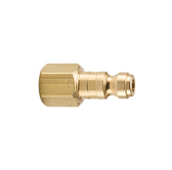 1/4" 10 Series Brass Insert 1/4" NPT Female Thread